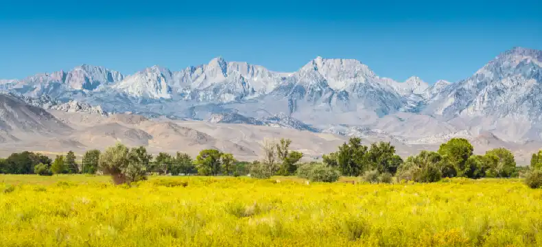 Comfort Suites properties in Fresno County