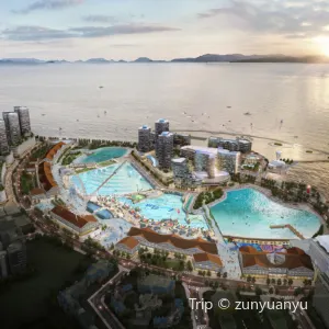 wave park