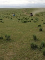 Kalkante Prairie