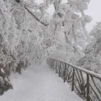 Tianmen Mountain