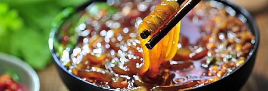 正宗重庆酸辣粉(磷都大道店)