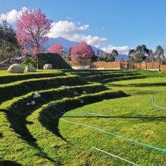 YUNHEYI MANOR 여행 사진