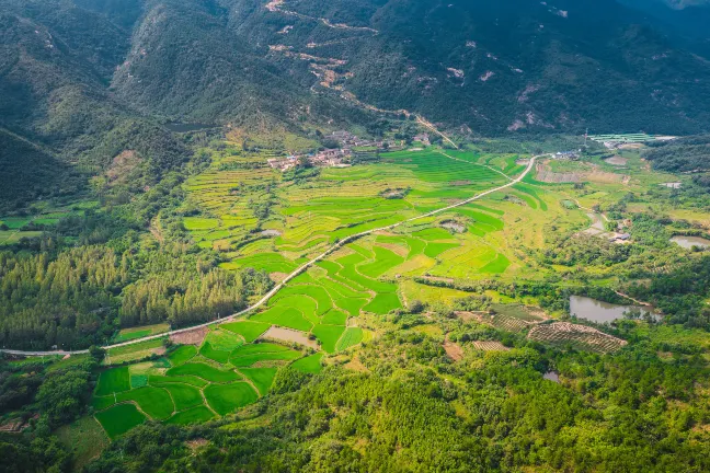 Pet Friendly Hotels in Guangshui