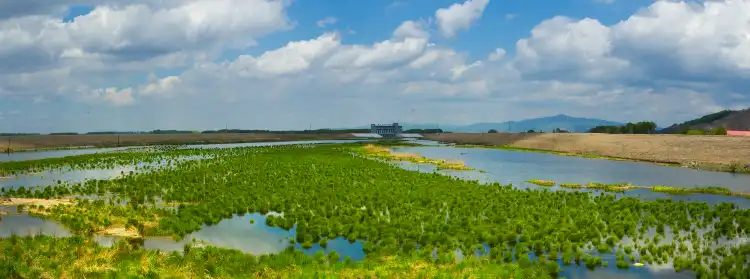 鄰近同江站的酒店