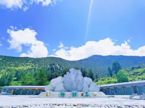 The World Cypress King Park