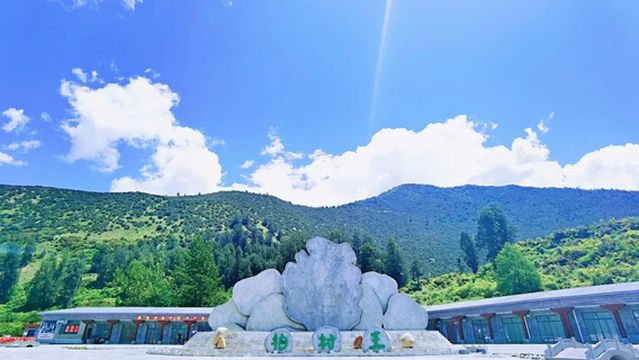 The World Cypress King Park