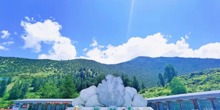 世界柏樹王園林