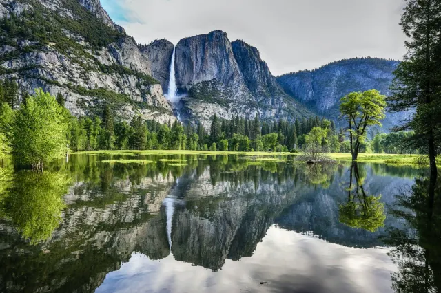 Чистейшая природа парка Йосемити