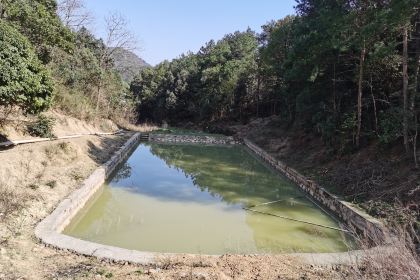 泽居小筑民宿(韶山故居景区店)·独门小院餐厅