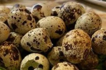 海尔巴格餐饮美都·四楼火锅