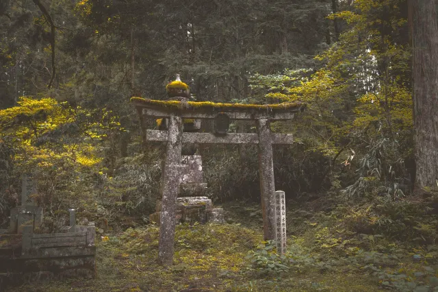 Una tumba rodeada de vegetación en el cementerio de Okunoin.