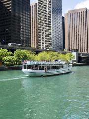 建築基金會芝加哥河觀光遊船