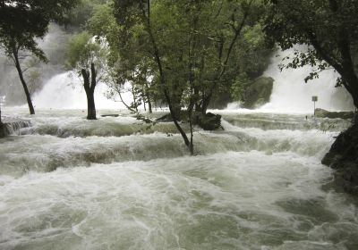 Cascadas de Tamasopo