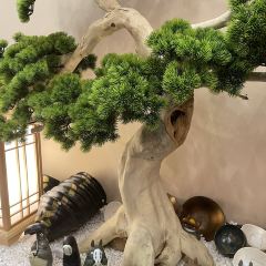 麺屋庄野研究所·麺や庄の研究所 User Photo