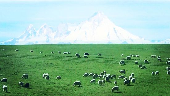 青藏铁路是世界上海拔最高、线路最长的高原铁路，列车在青藏铁路