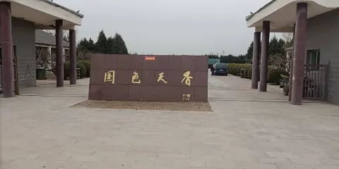 國色天香-牡丹園