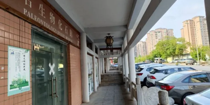 興偉古生物化石博物館