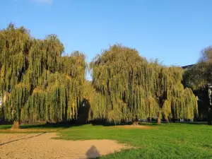 Molodizhnyy Park