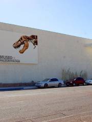 Museo de Paleontologia de Delicias