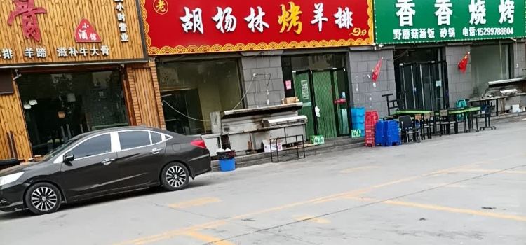胡杨林烤羊排(地质小区店)