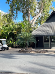 Hamilton Island Buggy Hire