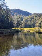 Bellinger River National Park