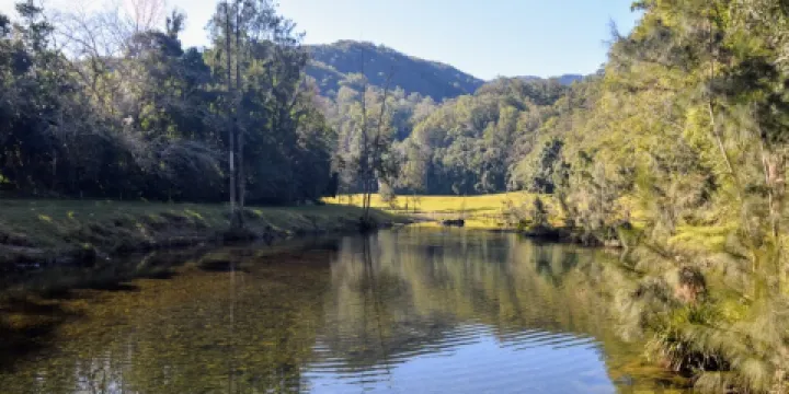 Bellinger River National Park