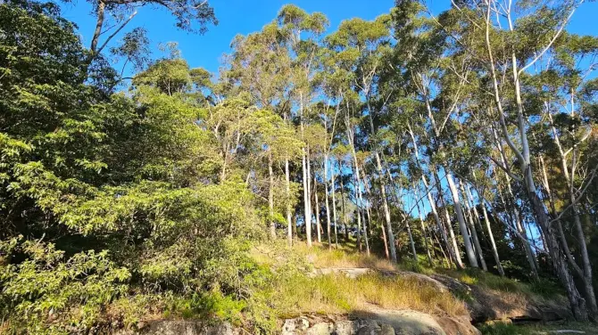 Bardwell Valley Parklands