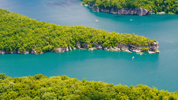 Surat Thani