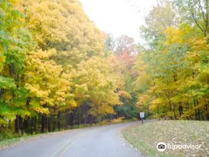 Raccoon Lake State Recreation Area