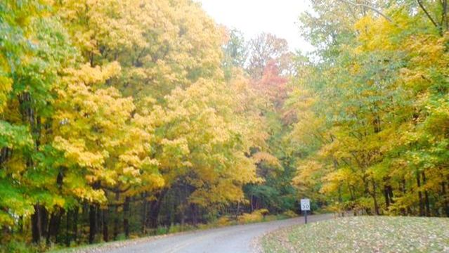 Raccoon Lake State Recreation Area