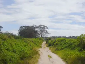 Kebun Teh Bahbutong, Sidamanik