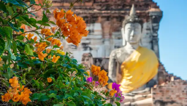 曼谷+大城+邦芭茵夏宮+柴瓦塔那蘭寺+瑪哈泰寺遺址一日遊