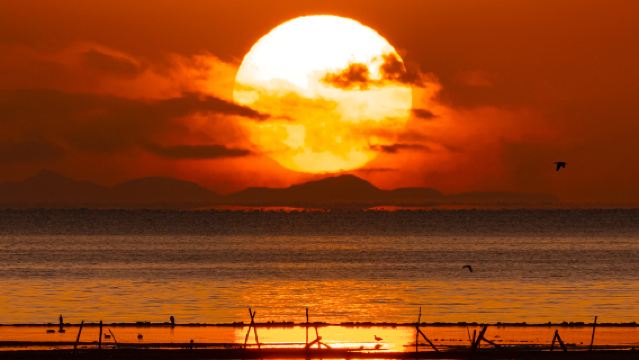 【純玩無購物】茶卡鹽湖+青海湖+日月山一日遊