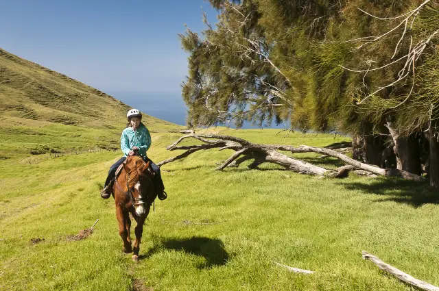 Horse Riding in Hawaii