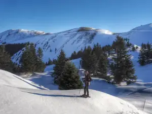 Ski Nistos