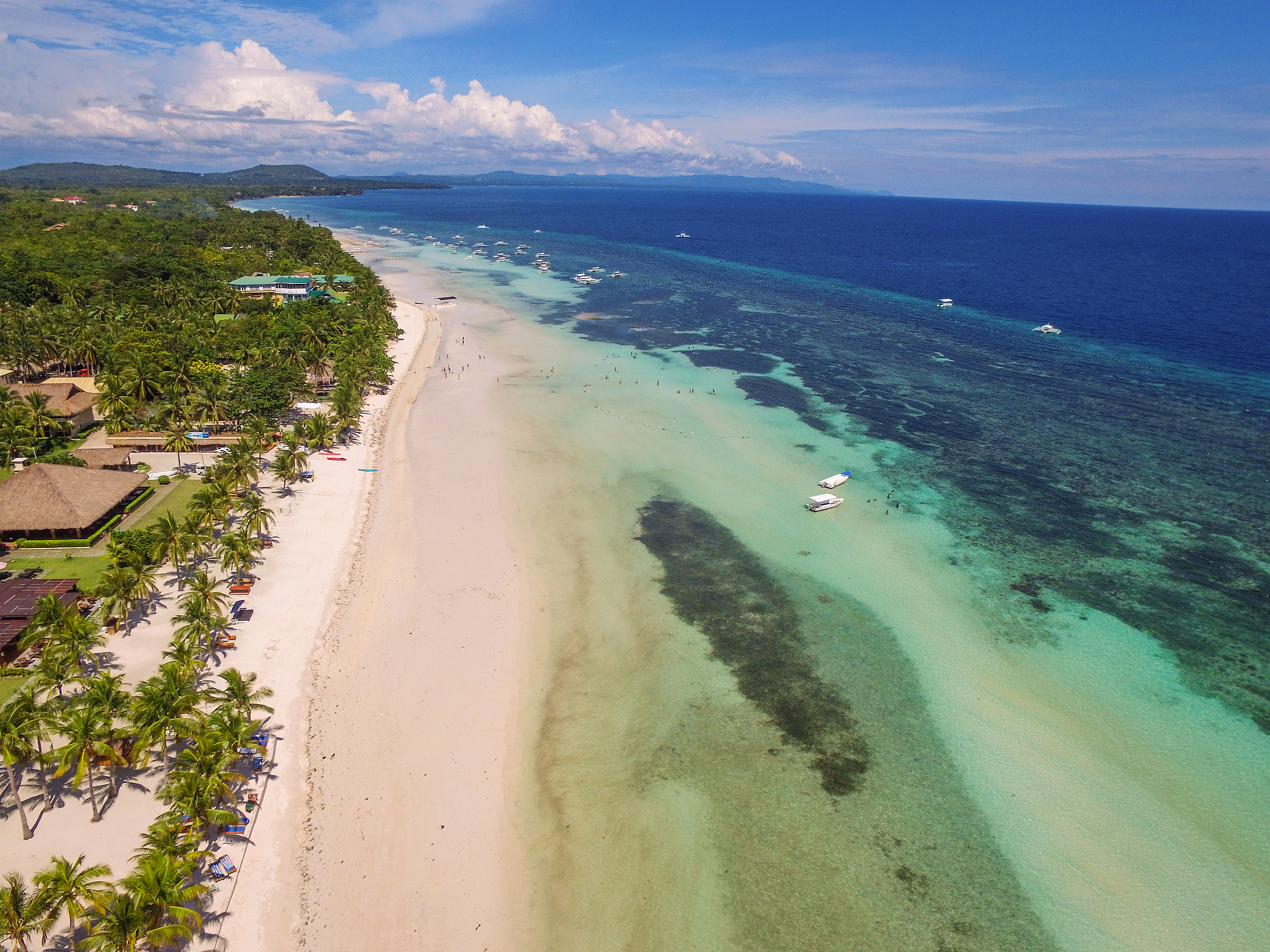 Bohol Island