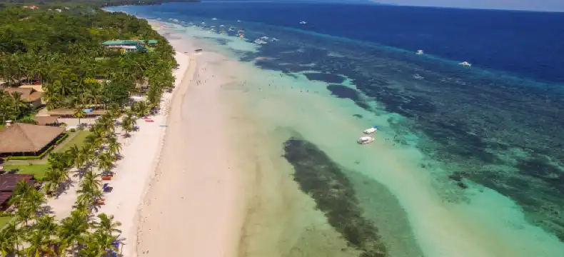 薄荷島
