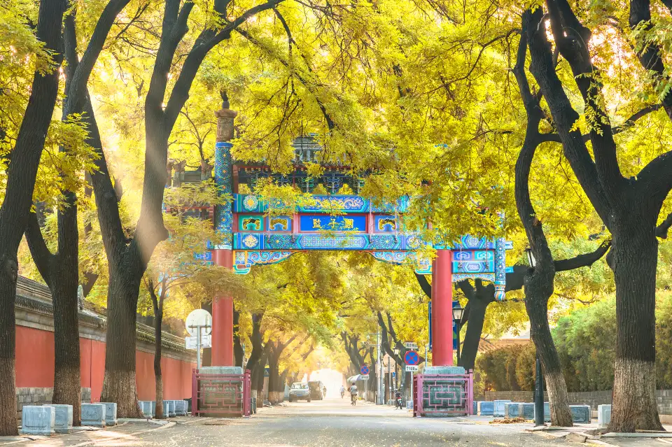 2_Confucian Temple And Imperial College Museum