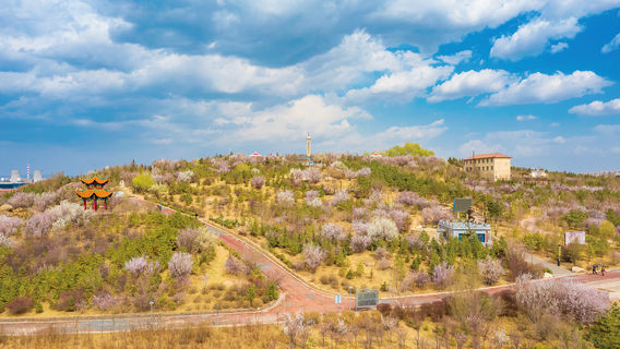 Экологический парк Тигров