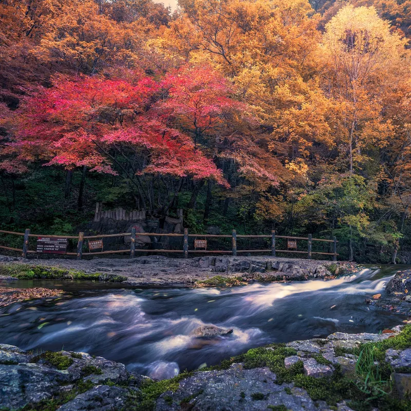 關門山國家森林公園