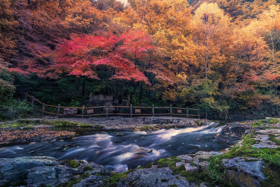 關門山國家森林公園