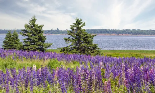 Prince Edward Island National Park