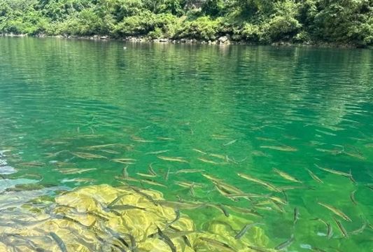 da xia gu 97 hao deng ta lan dao yu feng bao dian