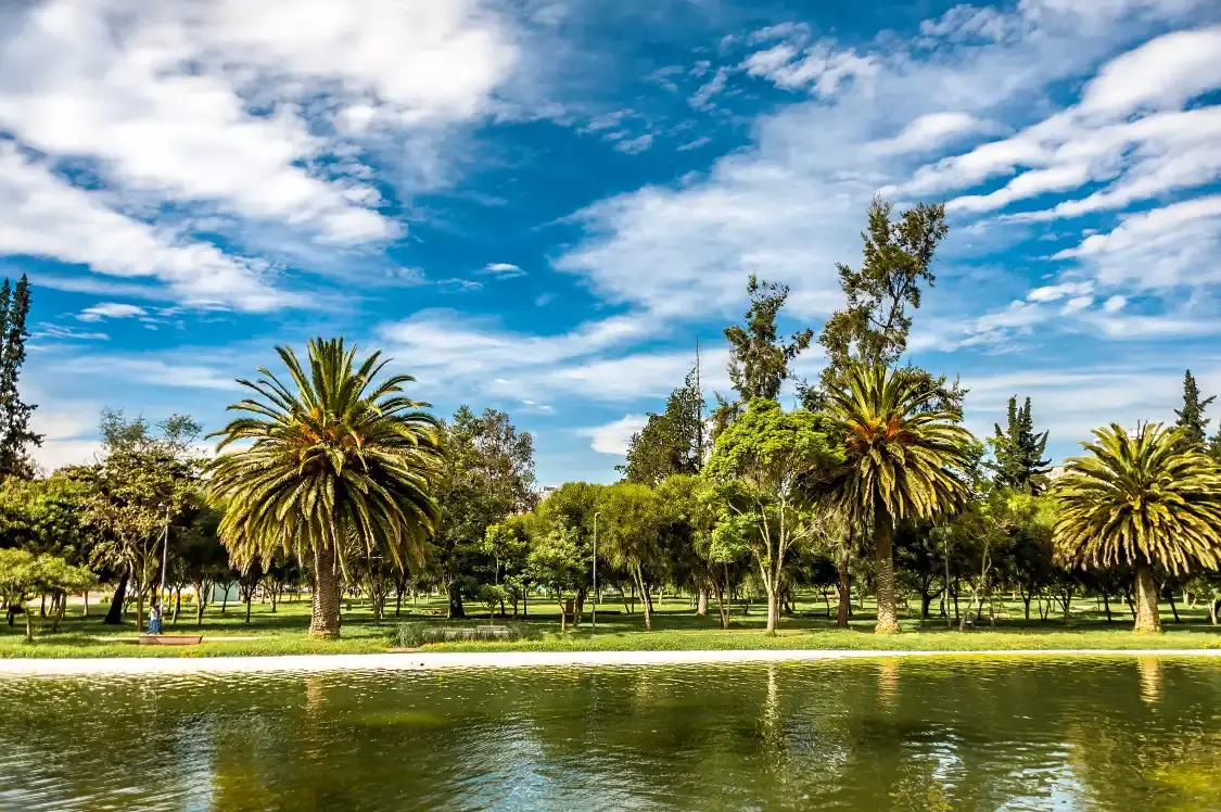 Hotels near Parque La Carolina