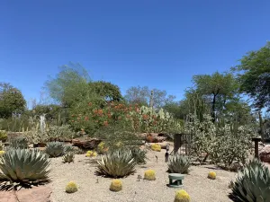 Desert Botanical Garden