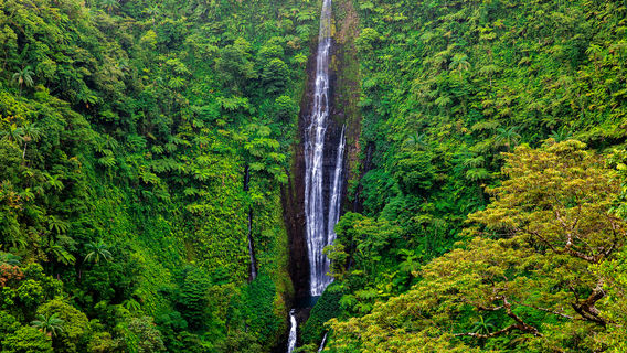 Papapapaitai Falls