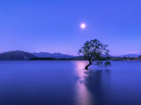 Popular Night Attractions in Wanaka