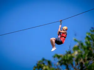 Samui zipline