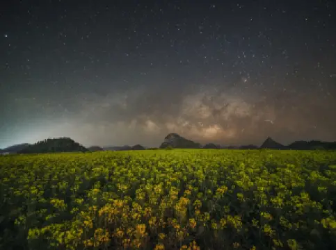 Qujing City · Luoping Rapeseed Fields
